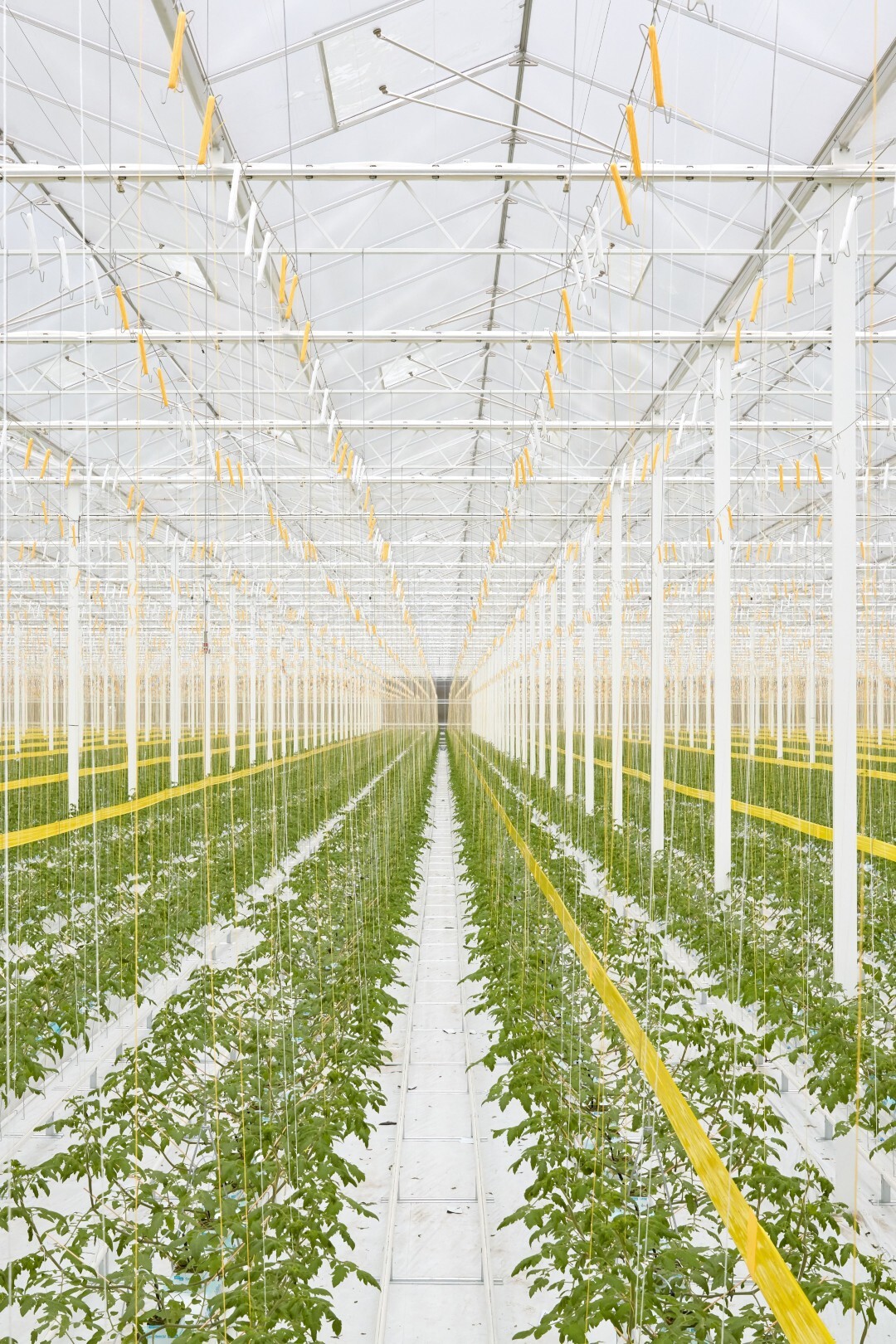 AGRO rechts verticaal
